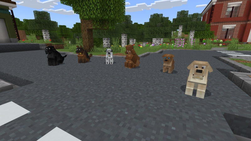 Dogs by Fall Studios