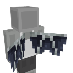 Enderdragon Wings