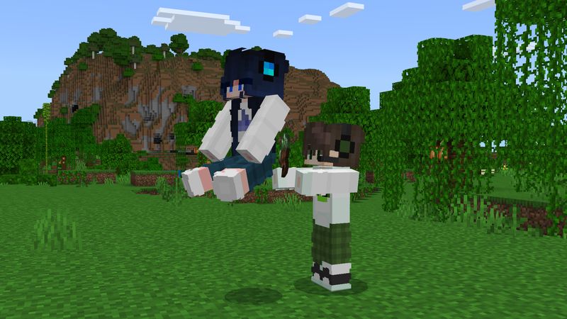 Carry More Add-On Screenshot #4