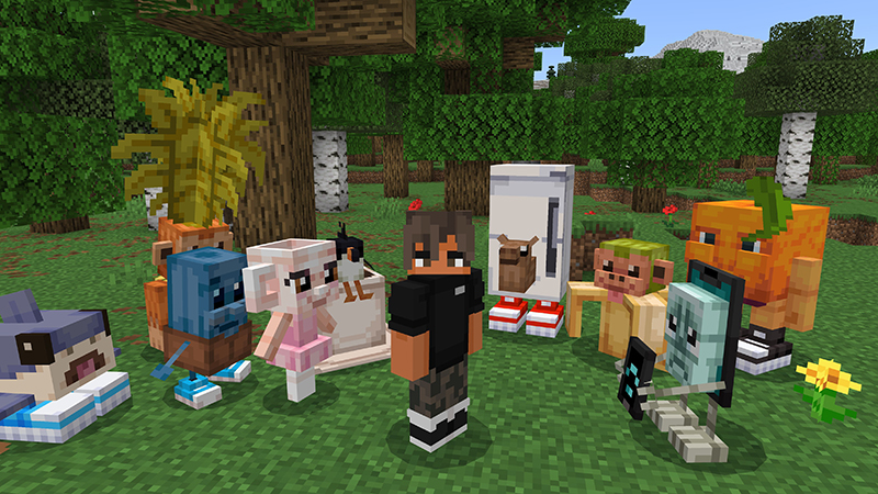 PETS Add-On PETS Add-On by MelonBP
