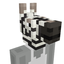 Zebra Head