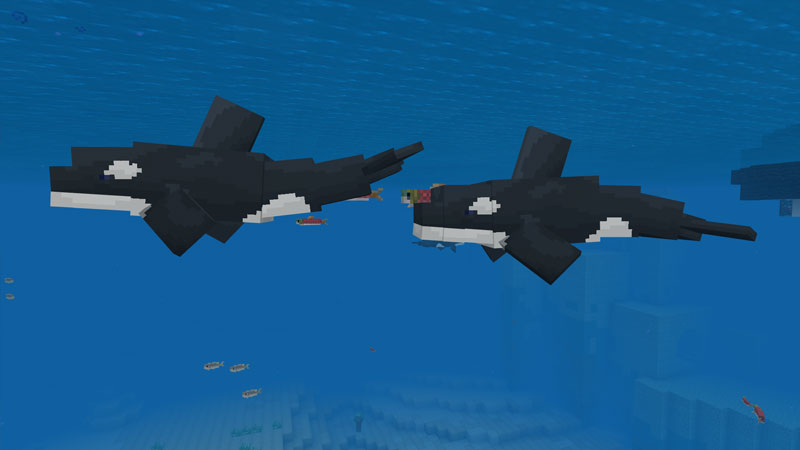 Orca by CubeCraft Games