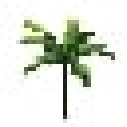 Desert Island Pack Icon