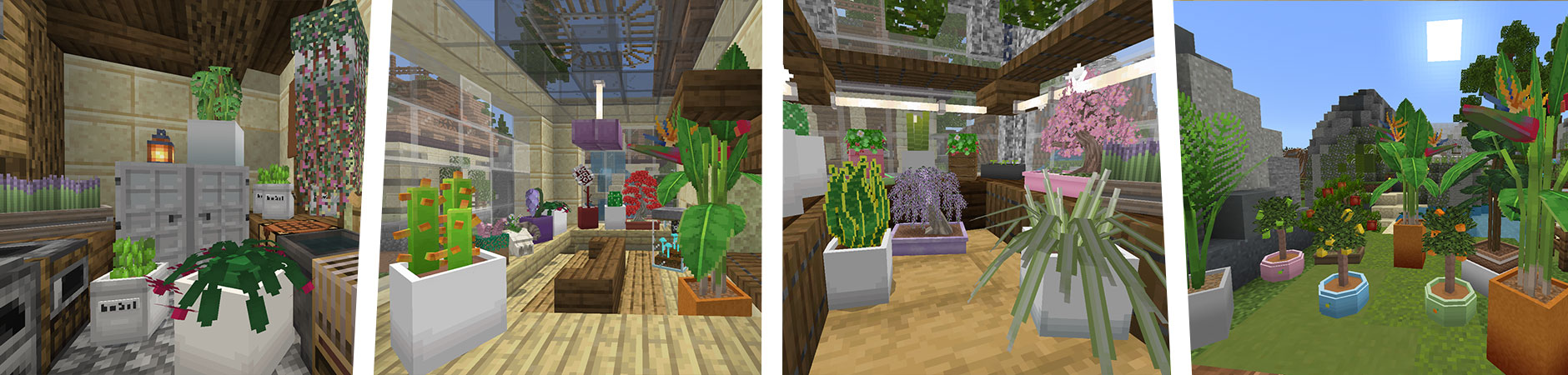 House Plants Panorama