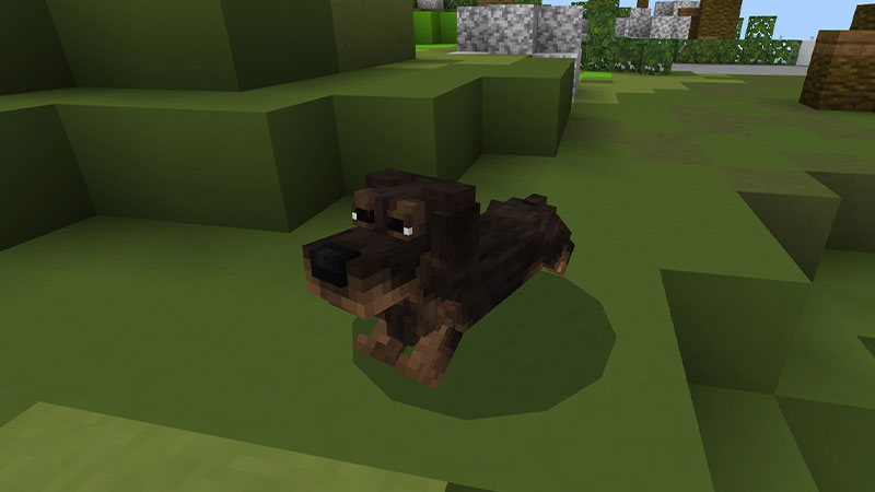Wiener Dog Screenshot #4