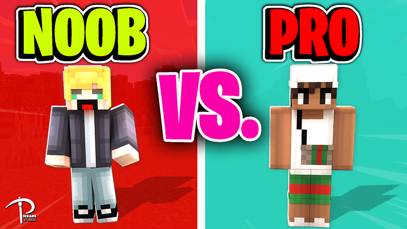 NOOB VS PRO Key Art