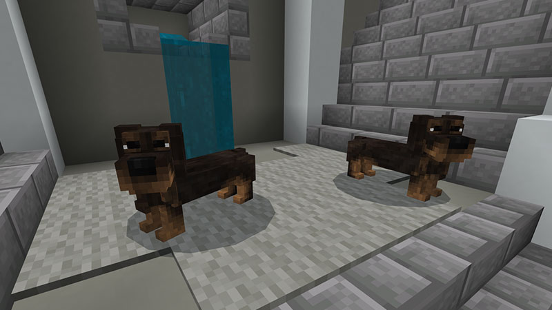 Wiener Dog Screenshot #2
