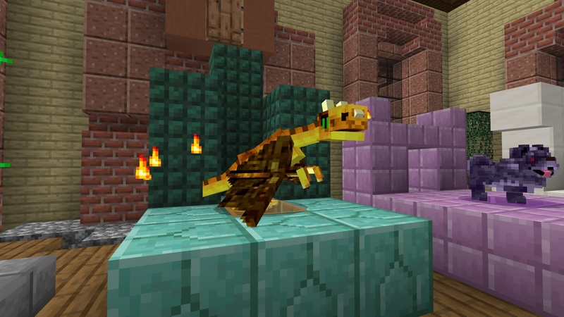 Dragon Pet Screenshot #1