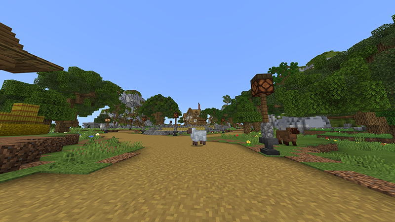 Block SMP Screenshot #5