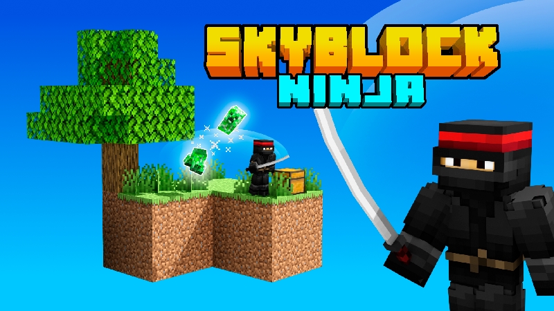 Skyblock Ninja Key Art