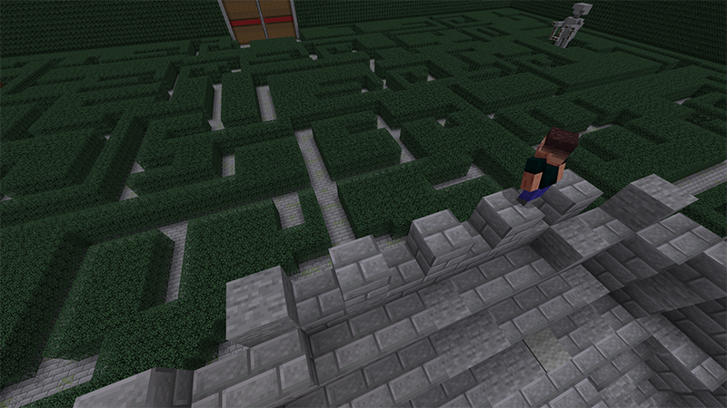 Witch's Hedge Maze Screenshot #5