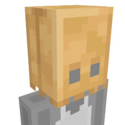 Paper Bag on the Minecraft Marketplace by Team Vaeron Paper Bag on the Minecraft Marketplace by Team Vaeron