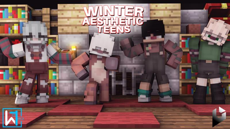 Winter Aesthetic Teens Key Art