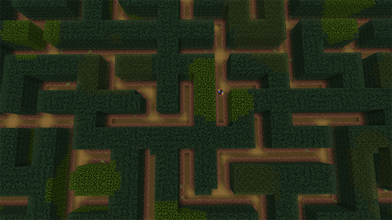 Maze Escape Speedrun by Diluvian