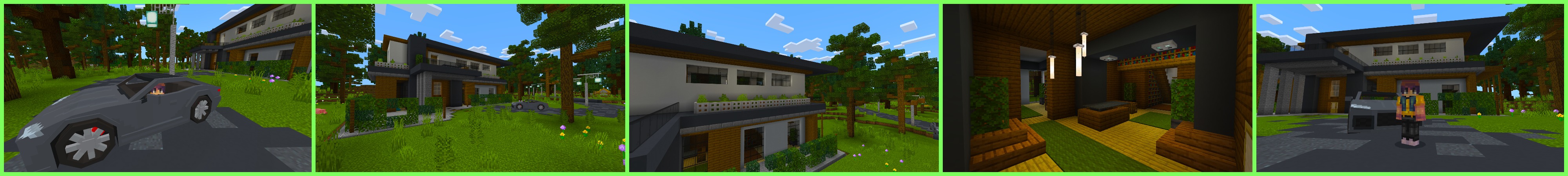 Modern House Panorama