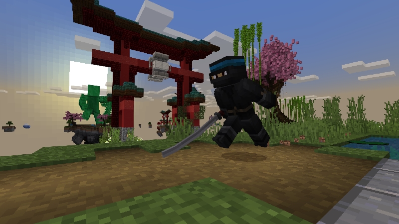 Skyblock Ninja by VoxelBlocks