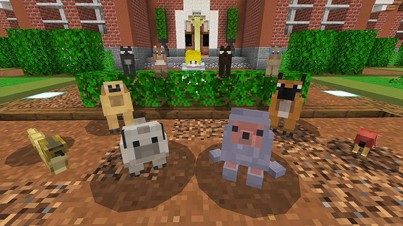 Lovely Pets Screenshot #1