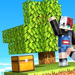 100 Days: Skyblock Pack Icon