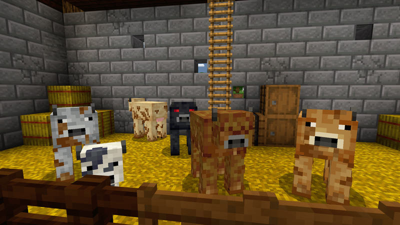 Animal Care Screenshot #3