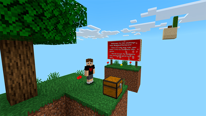 Skyblock Hardcore Screenshot #1