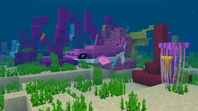 Ocean Life In Minecraft Marketplace Minecraft