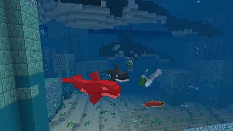 Orca by CubeCraft Games