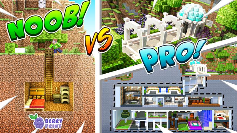 Noob vs Pro Key Art