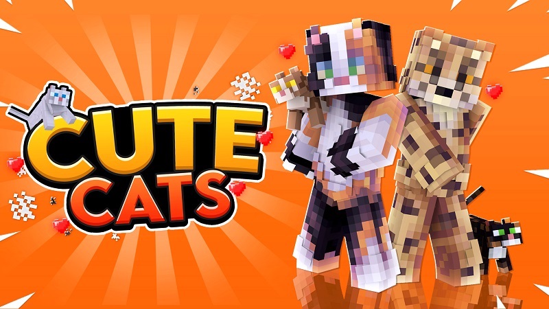 Cute Cats