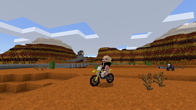 DIRT BIKE World Screenshot #2