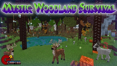 Mystic Woodland Survival on the Minecraft Marketplace by G2Crafted Mystic Woodland Survival on the Minecraft Marketplace by G2Crafted