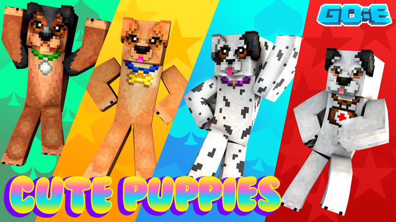 Cute Puppies