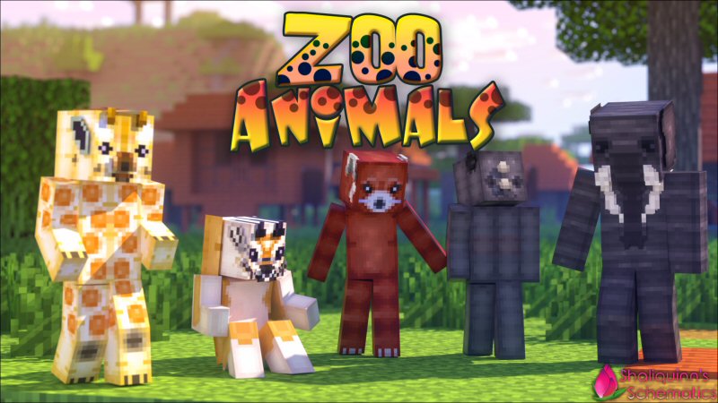 Zoo Animals