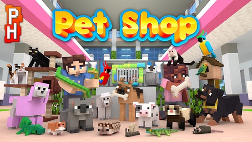 Minecraft Marketplace Pixelheads